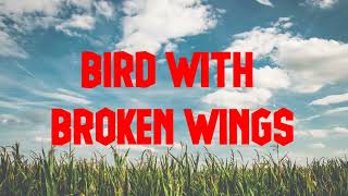 Owlcity-Bird with broken wings(Lyrics)