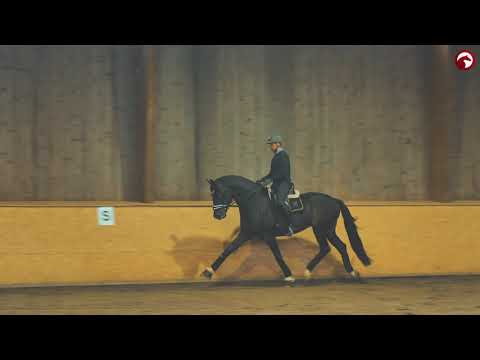 Friedrich der Große