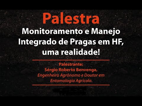 Monitoramento e manejo integrado de pragas em HF, uma realidade