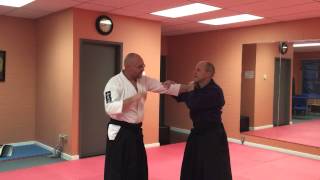 Aikido Zenshin Dojo Takemusus aiki practice