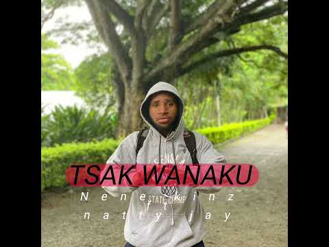 Tsak Wanaku _Nene kinz ft Natty Jay (shockwaves Production) Enga music 🎶  png vibs
