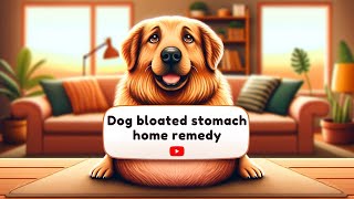 Fast and Effective Dog Bloated Stomach Home Remedy: Relieve Your Pet