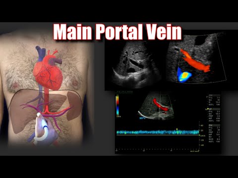Portal Vein Doppler Protocol