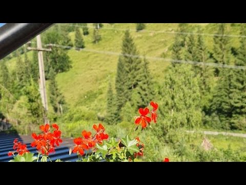 CASA BACIU COLACU/BUCOVINA NOASTRĂ FRUMOASĂ 📷☀️🇷🇴💯🌍