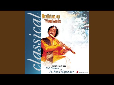 Raga Nat Bhairav (Alap Jhod Jhala)