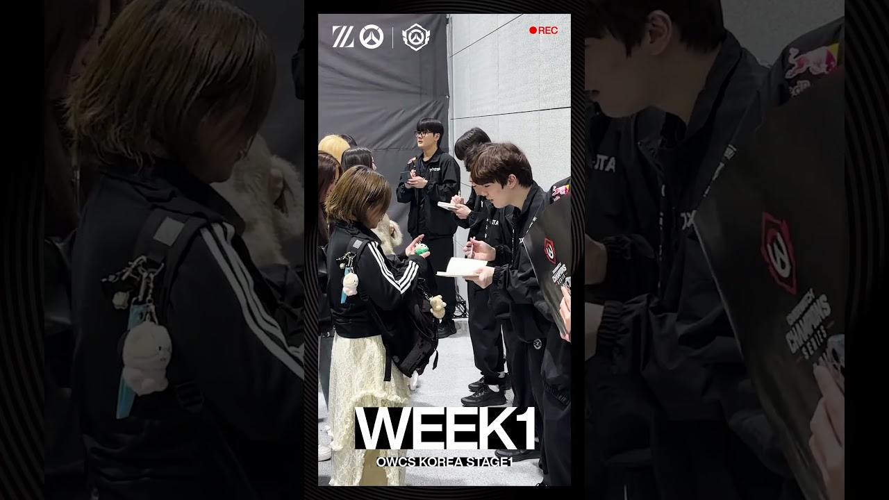 🦝🦅OWCS 2026 Korea Stage1 - WEEK1 #OWCS  #ZETAWIN