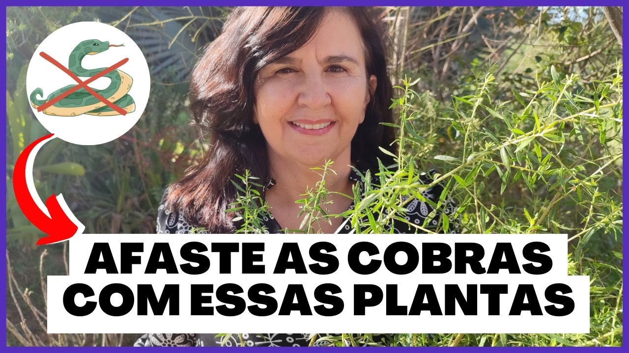 Plantas que repelem cobras