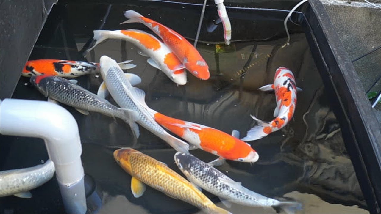 お久しブリーフまたよろしくおねがいします