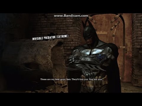 Batman: Arkham Asylum Trophy Guide & Road Map