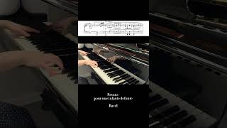 Download lagu 【亡き王女のためのパヴァーヌ/ラヴェル】 Pavane pour une infante defunt / Ravel #piano #ravel mp3 Download lagu 【亡き王女のためのパヴァーヌ/ラヴェル】 Pavane pour une infante defunt / Ravel #piano #ravel mp3