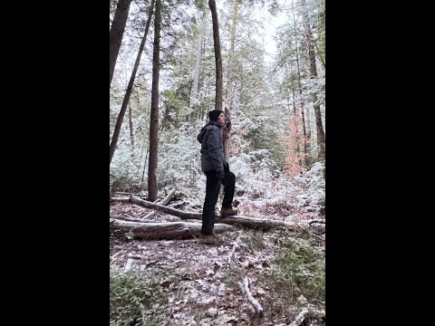 Review on The Sky Jewel Legacy