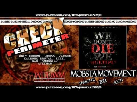 187 MOBSTAZ - CHECK PERIMETER (wddwm)