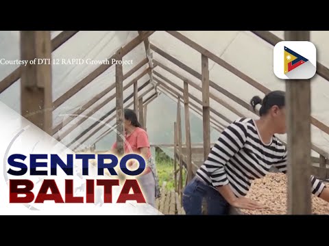 Mga magsasaka ng cacao sa Cotabato, nakinabang sa Rapid Growth Project ng DTI
