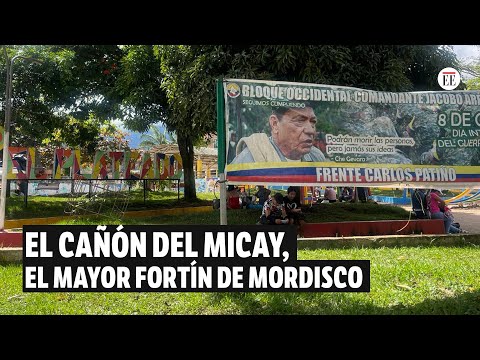 Así es el cañón del Micay, epicentro de poder de la disidencia de Iván Mordisco | El Espectador