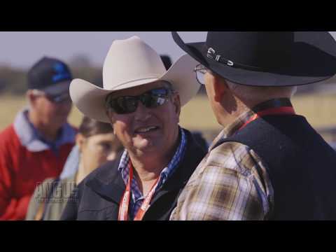 Angus Convention 2017: National Angus Tour