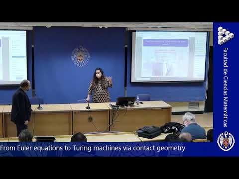 From Euler equations to Turing machines via contact geometry