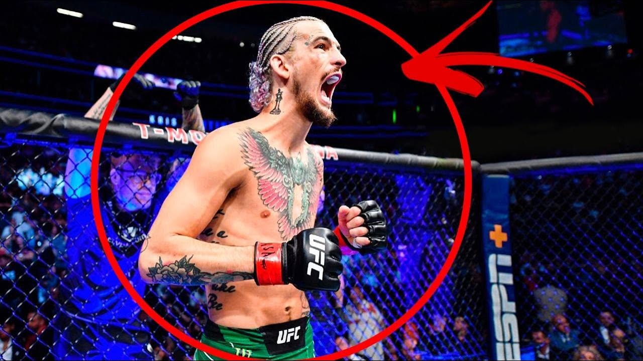 Este Magrinho Derruba Cabeças!