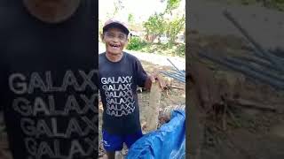 Download lagu PANTUN MADURA KOCAK !!NGAKAK BANGET mp3 Download lagu PANTUN MADURA KOCAK !!NGAKAK BANGET mp3