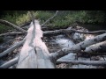 Open video