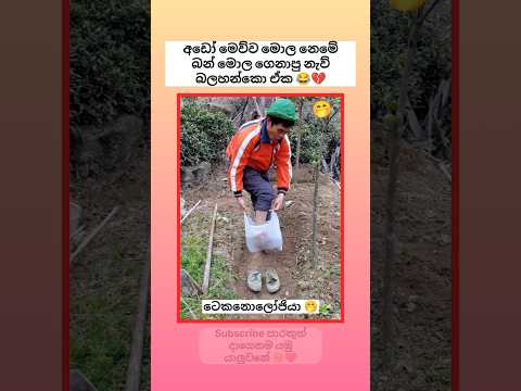 කොහොමද කොල්ලගෙ තාස්සනේ 😂🤭 #sinhala #funny #comedy #trending #shorts #viralvideo #song #automobile