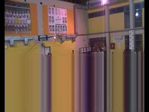 SUMMER SAKATEMENTO KINGS - ARPA COLA 63-68