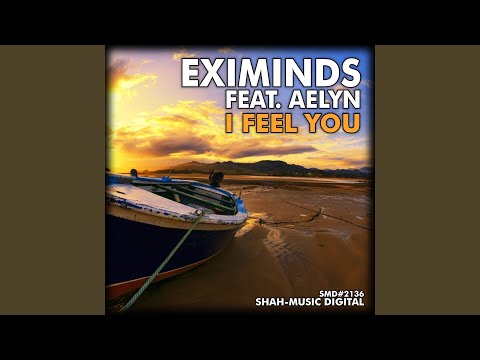 I Feel You (Playton Remix) (feat. Aelyn)