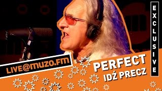 Perfect - Idź Precz (Live at MUZO.FM)