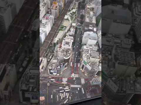 Looking down on Shibuya crossing | Tokyo, Japan #shorts