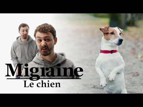 Migraine de Roman Frayssinet : Le chien - Clique à 20h25 en clair sur CANAL+