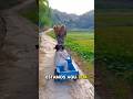 Sisters Help Grandfather With His Load ‍ Shorts