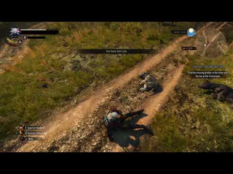 The Witcher 3: Wild Hunt- All my money gone