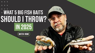 Top 5 Big Fish Baits Should I Throw in 2025?