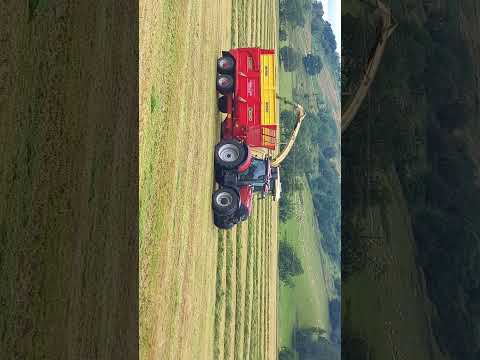 silage time michael. j. woods