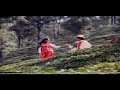 Pada Vanthathor Ganam