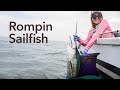 Beauty And The Fish Rompin Sailfish Fishing