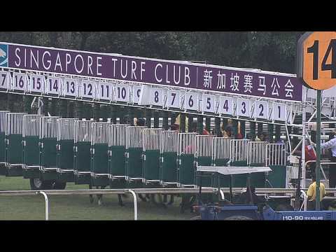 SRA 2013 (Champion Three-Year-Old - Stepitup)