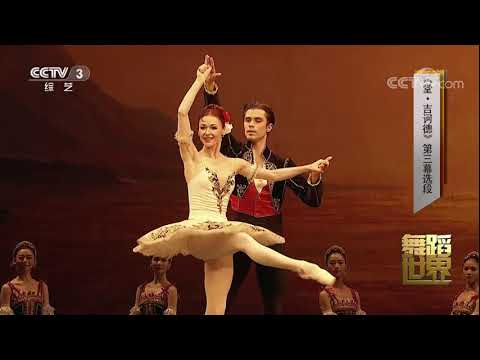10.11.2017 Excerpt of Don Quixote Act3, Elena Evseeva and Artem Ovcharenko