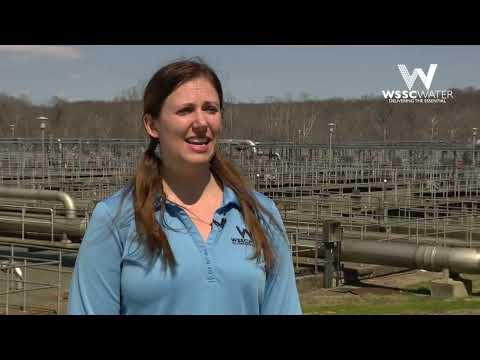 Celebrating Women's History Month