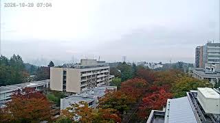 青葉山キャンパスライブカメラ live webcam