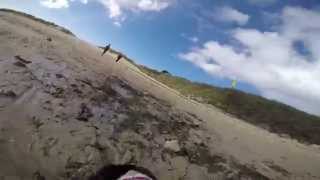 preview picture of video 'Mollie Cam at Hayle Beach'
