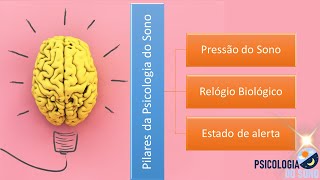 Os Três Pilares da Psicologia do Sono, conheça!