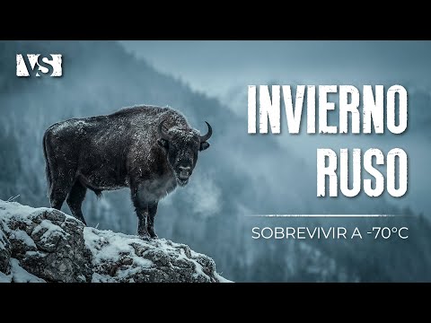 INVIERNO EXTREMO EN RUSIA | Supervivencia a -70°C en el Frío Más Brutal del Planeta - Documental