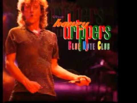 Robert Plant & The Honeydrippers - Born under a bad sign