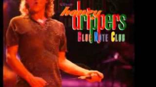 Robert Plant & The Honeydrippers - Born under a bad sign