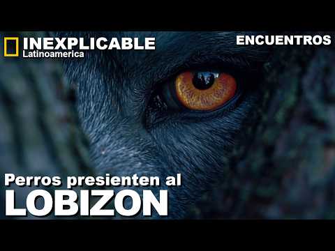 "EL LOBIZÓN ME ATACÓ EN EL MONTE - EL Hombre Lobo de Argentina