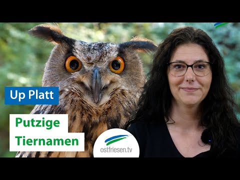 Plattdeutsch: Die putzigsten Tiernamen up Platt