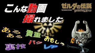 ゼルダの伝説〜BREATH of the WILD〜 でこんな動画撮れました！！