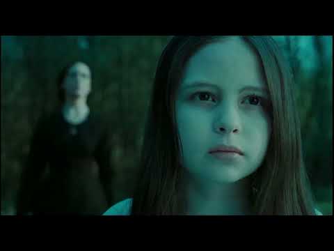 The Ring (2002) - Rachel falls down the well/Samara shows her "the truth"