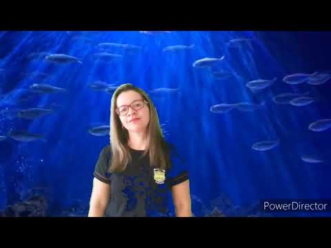 Pedro,Tiago e João no barquinho-Libras