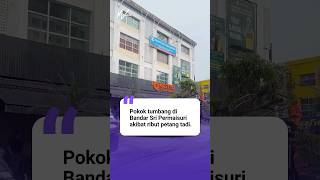 Download lagu Fallen tree crushes several cars in Bandar Sri Permaisuri. No casualties reported mp3